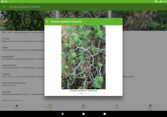 GaLaBau Pflanzen android App screenshot 1
