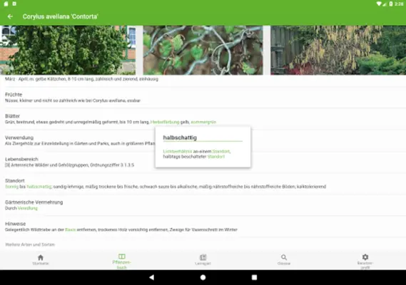 GaLaBau Pflanzen android App screenshot 2